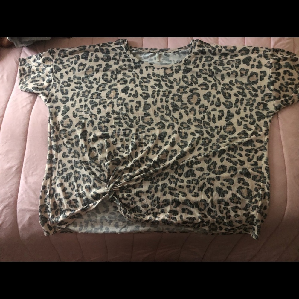 Cheetah Print Crop Top